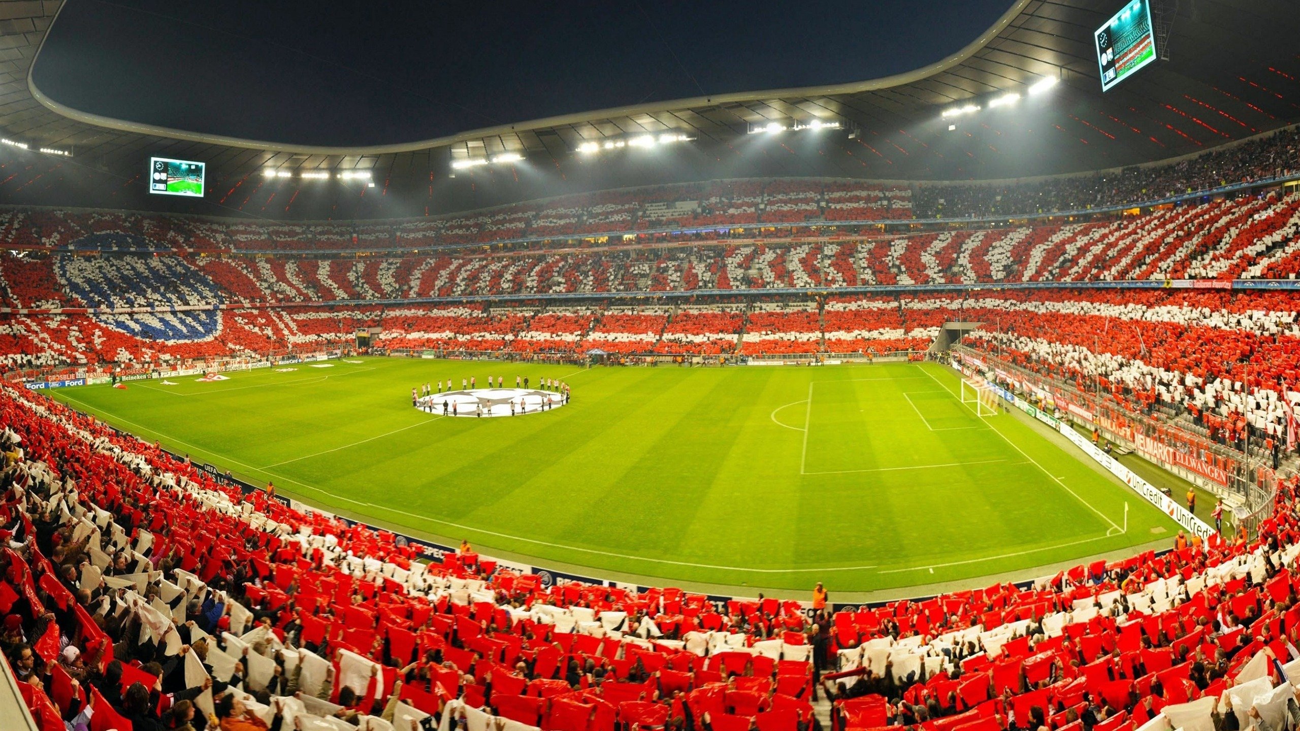 比达洛伊德止步不前，陷入困顿，刻苦努力，比洛德利