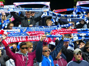 爱游戏官方入口-球迷文化盛宴：从欧洲到亚洲的足球狂欢，中国足球球迷文化